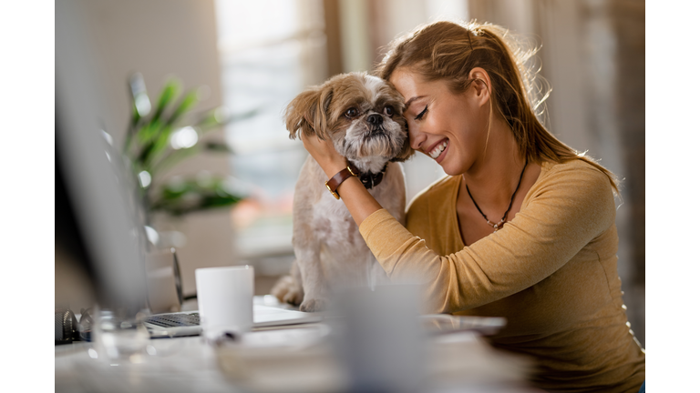 Young happy woman cuddling her dog in the office.