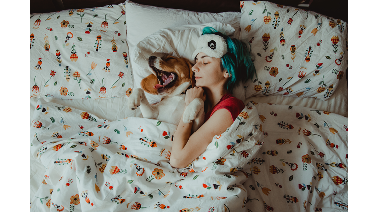 High Angle View Of Dog Relaxing On Bed At Home