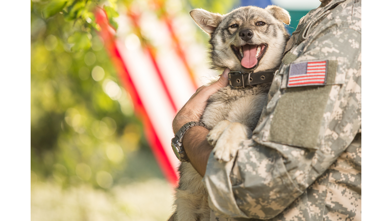 Soldier with his dog outdoors on a sunny day