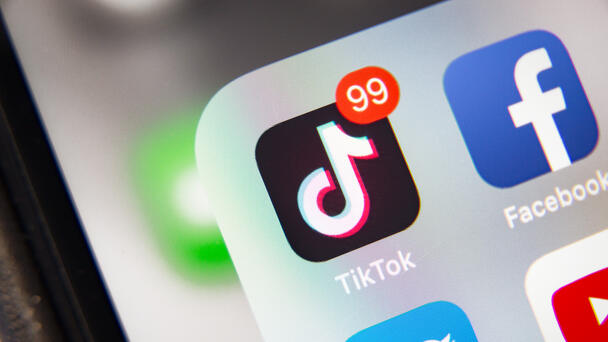 TikTok CEO & Influencers To Testify Against The Ban Before Congress 