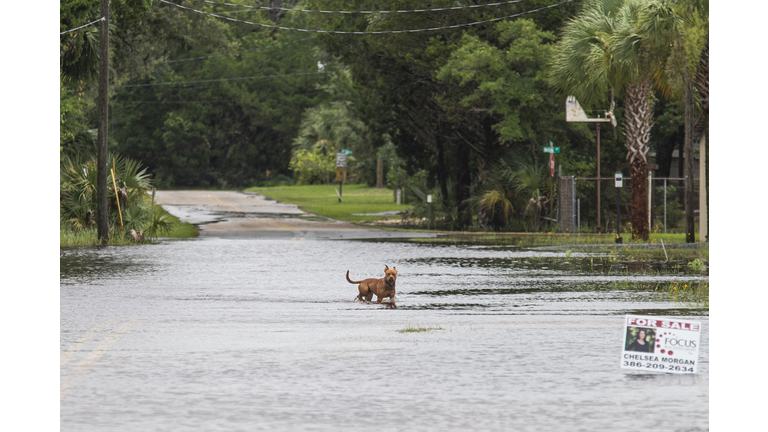 Tropical Storm Elsa Makes Landfall In Florida