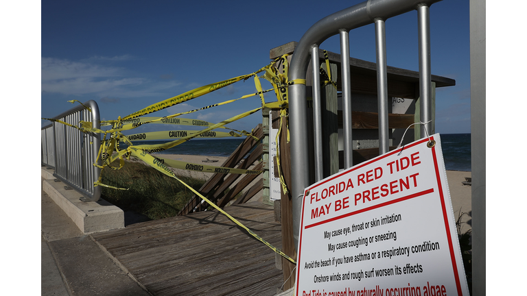 Red Tide Warnings on some local Beaches