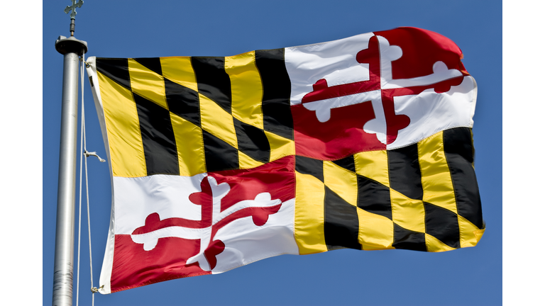 Maryland State Flag Waving In the Breeze