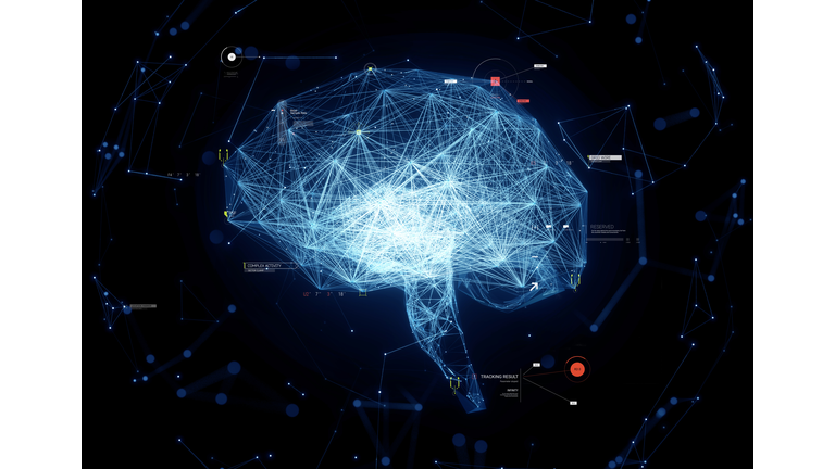 Digital Brain