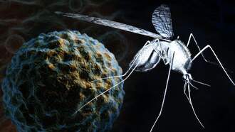 Two West Nile Virus Cases Confirmed in Oklahoma City