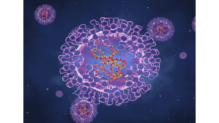 Pox viruses, illustration