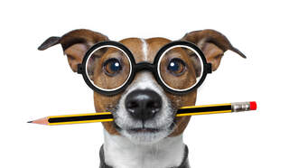 Hate Your Job? Start Your Own Business. Here's How