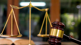 Fight, Shot Fired After Jacouri Burns No Guilty Verdict in Lexington