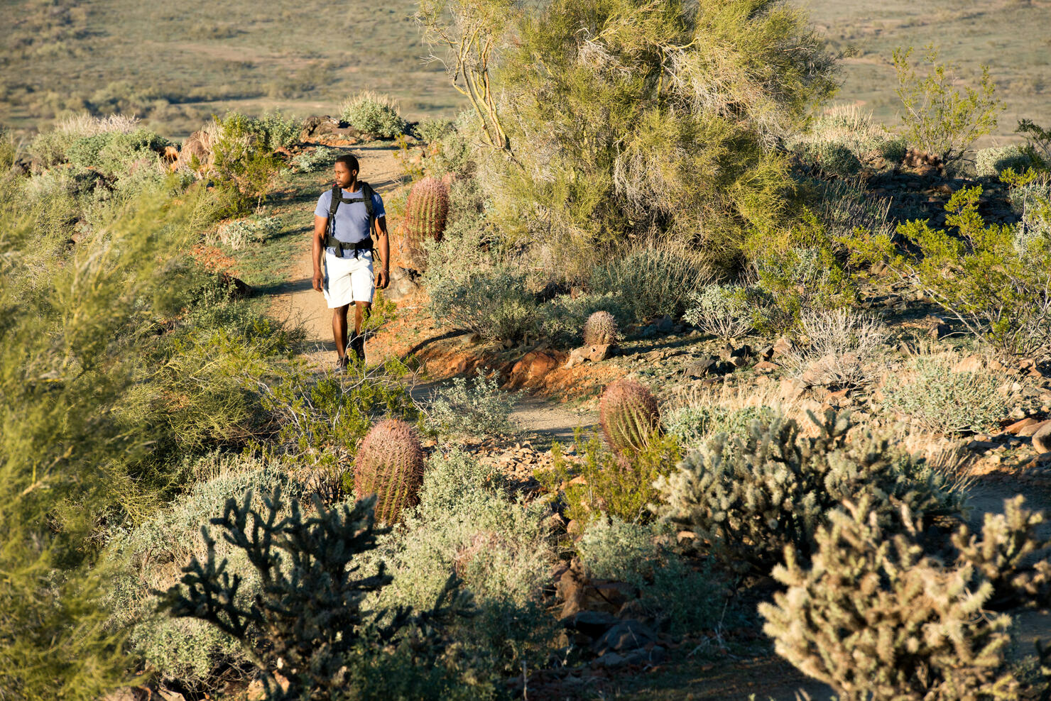 Desert Trail Hike