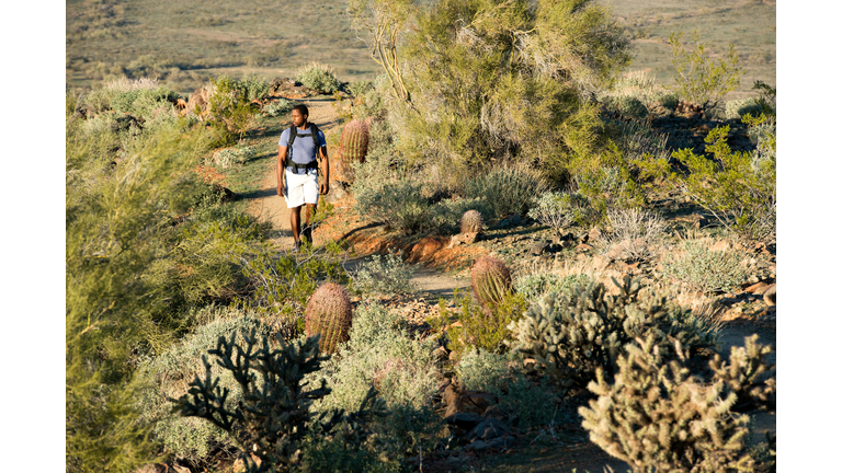 Desert Trail Hike