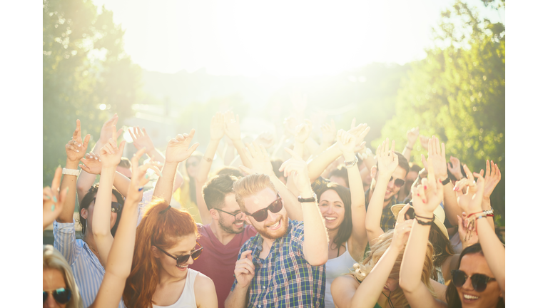 Crowd of people at music festival