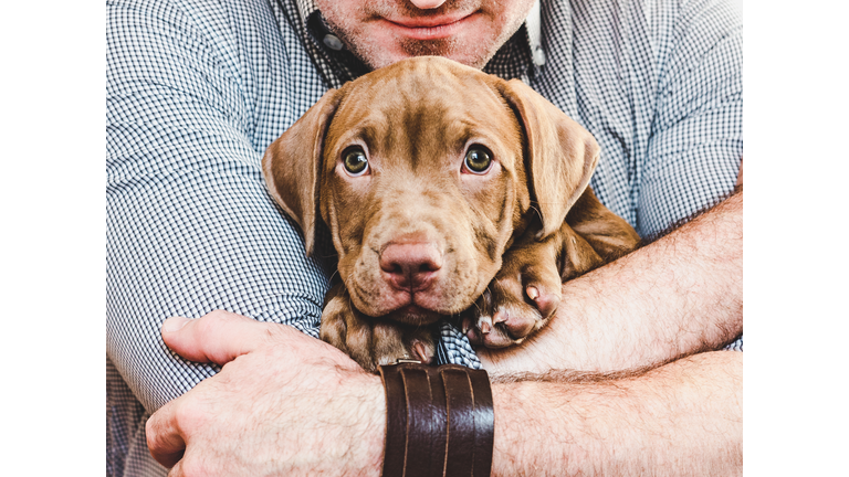 Man hugging a young, charming puppy. Close-up