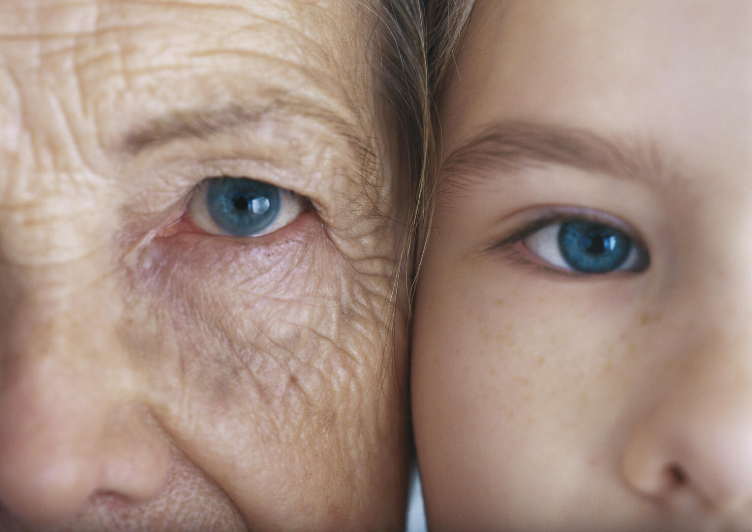 Girl and grandmother, cheek to cheek, close-up, partial view