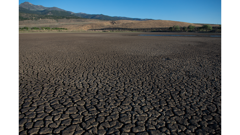 Little Washoe Lake In Nevada Is Drying Up Leaving Dead Spewed On Former Lake Bottom