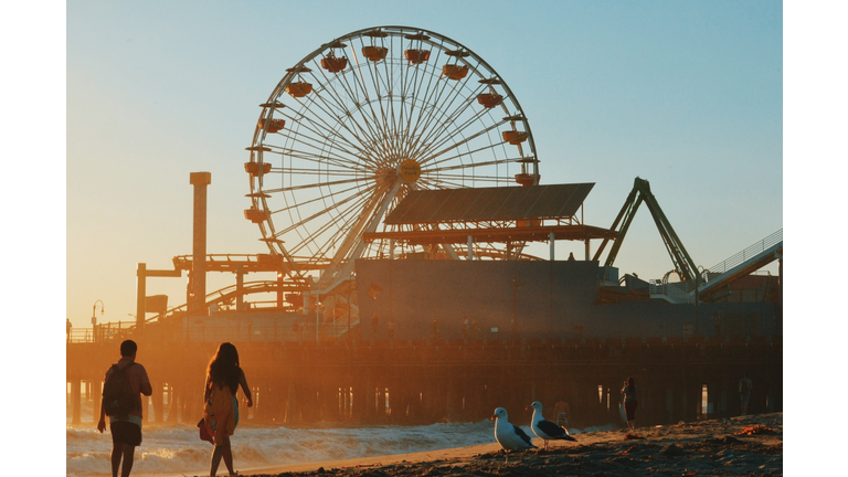 People And Seagulls At Beach By Santa Monica Pier Against Clear Sky