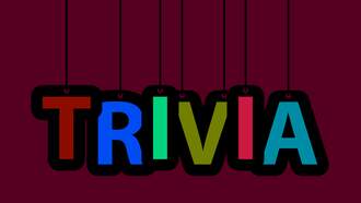 Chris and Lori's Are You Kidding Me Trivia 12/8/25