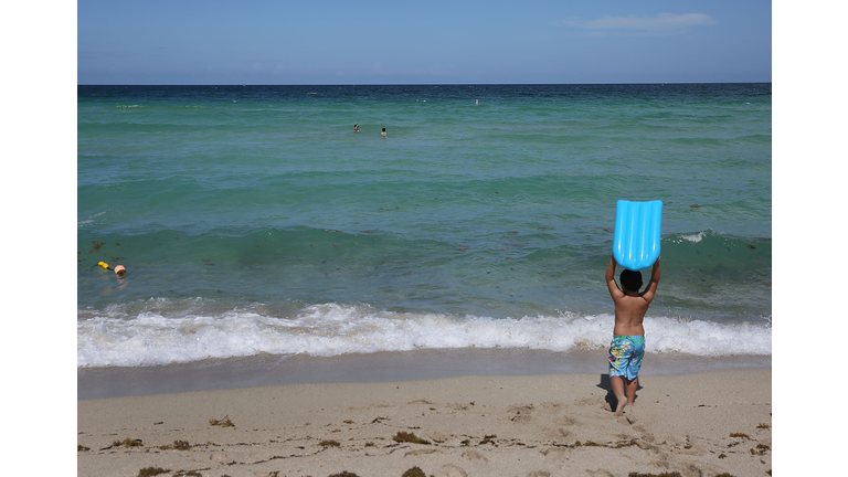 Sunny Isles Beach Is Site Of Rare Miami-Dade Shark Attack