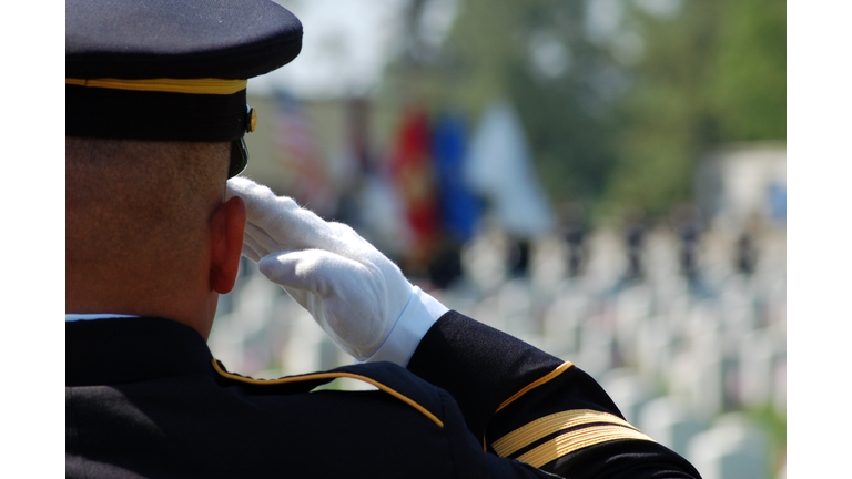 Soldier salutes fallen comrades