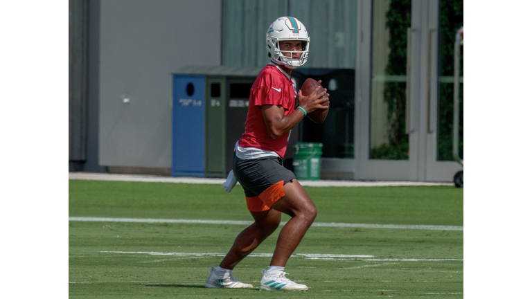 Miami Dolphins Training Camp