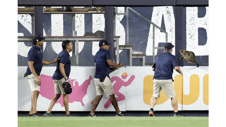 Baltimore Orioles v New York Yankees