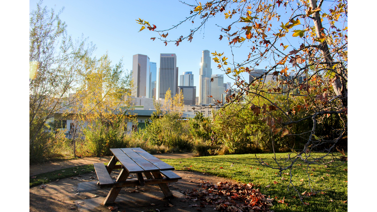Picnic table in park against downtown skyline