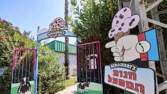 Florida's Clock is Ticking on Ben & Jerry's for West Bank Boycott