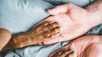 Is Your Pet Left Or Right Pawed?