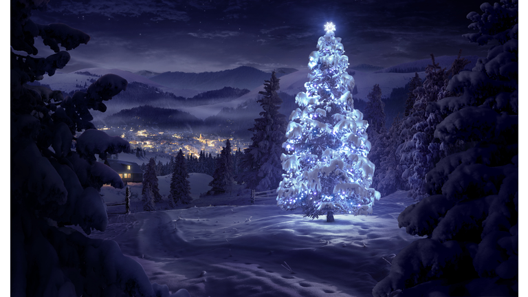 christmas tree illuminated in the forest in winter
