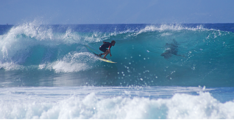 Surfing in Playa De Las Americas.