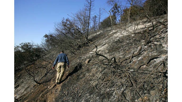 Fire Burns Over 600 Acres In Los Angeles Griffith Park