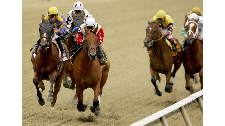 Black-Eyed Susan Stakes