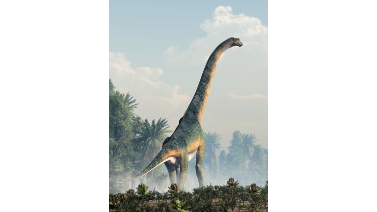 Giant Sauropod Walking Away