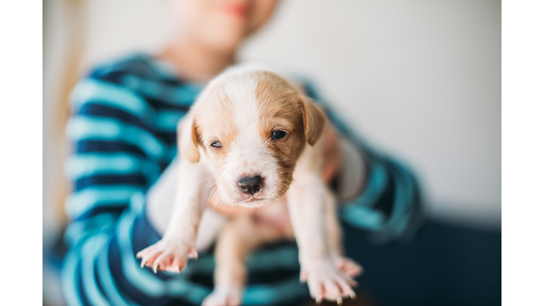 kid holding a puppy