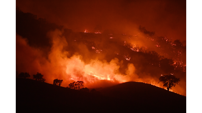 NSW On Severe Bushfire Alert As Weather Conditions Worsen