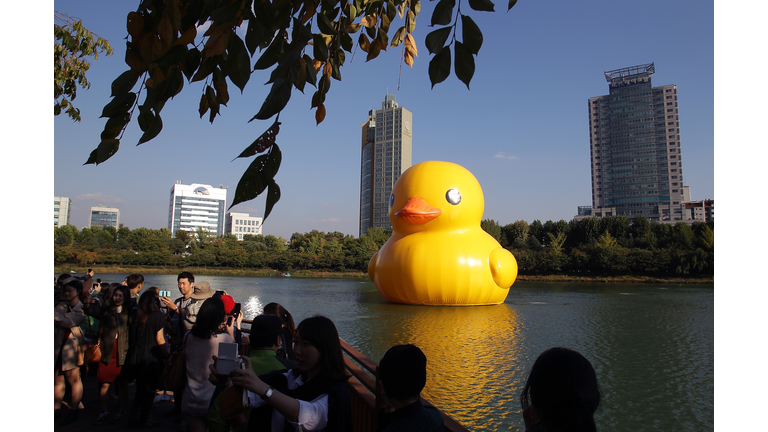 Giant Yellow Rubber Duck in Maine