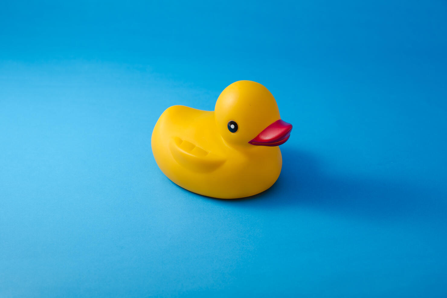 Close-Up Of Yellow Rubber Duck Over Blue Background