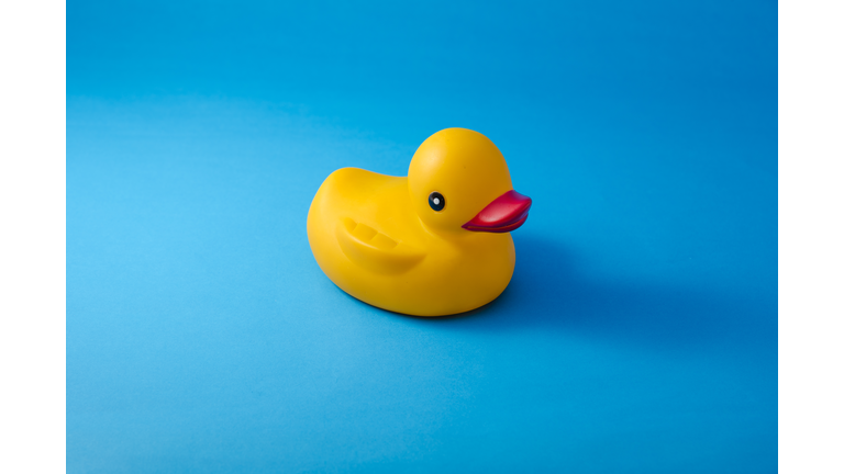 Close-Up Of Yellow Rubber Duck Over Blue Background