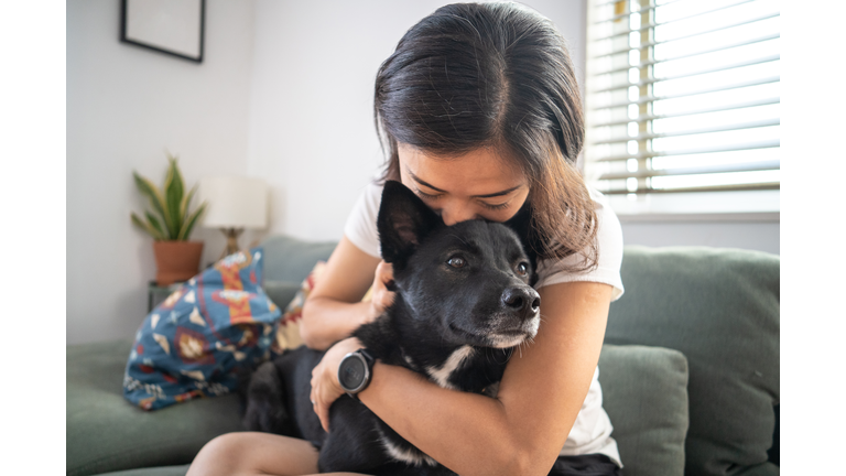 Young woman hugging dog and on living room sofa