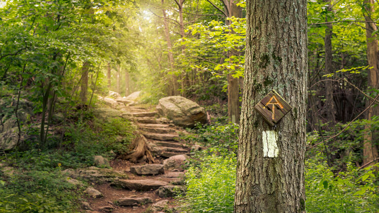 Rock steps along the Appalachian Trail in Stokes State Forest New Jersey