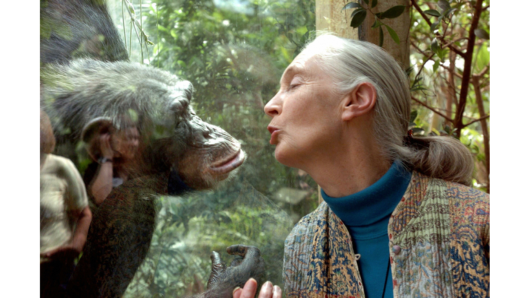 Jane Goodall, the world's foremost autho