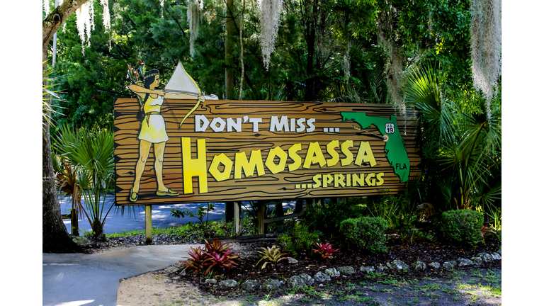 Homosassa Springs advertising banner in Florida