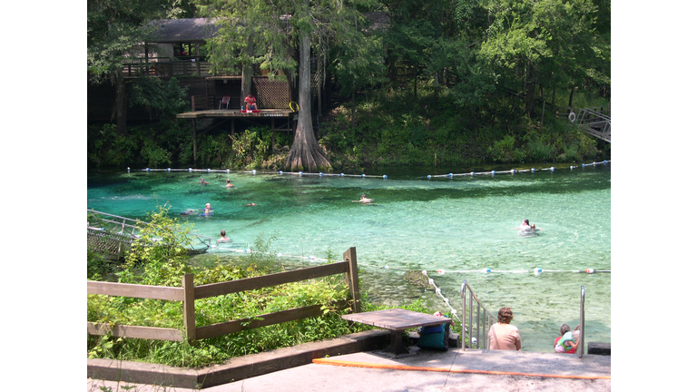 Fanning Springs