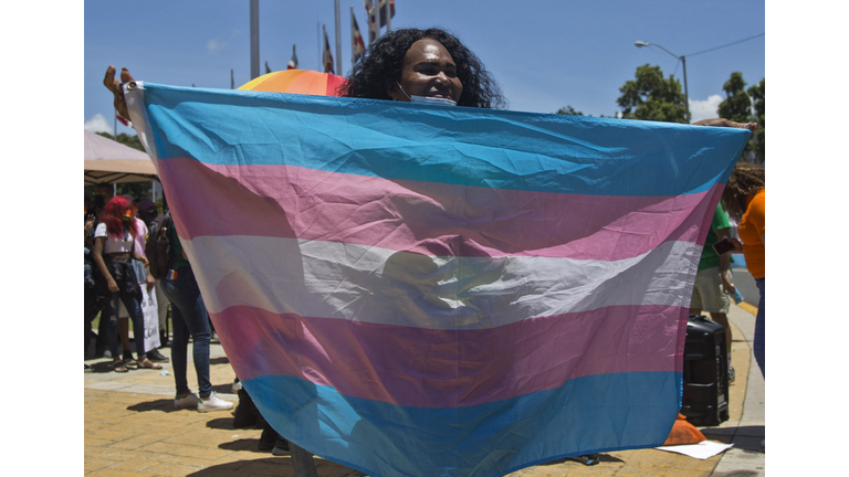 DOMINICAN REP-LGTBI-LAW-PROTEST