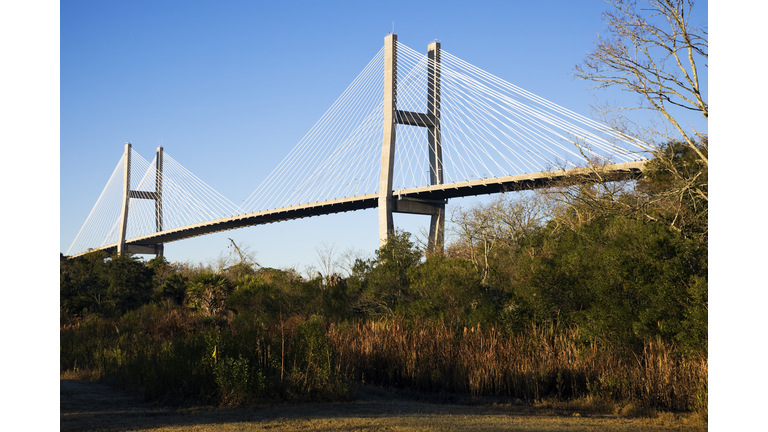 Talmadge Memorial Bridge