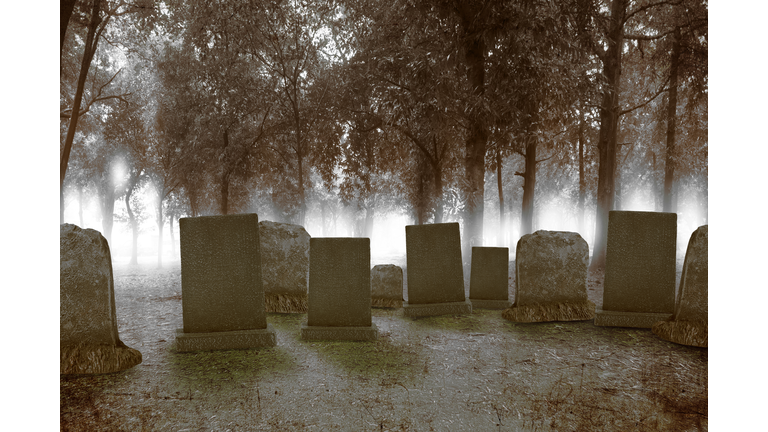 Tombstones on the graveyard in the forest