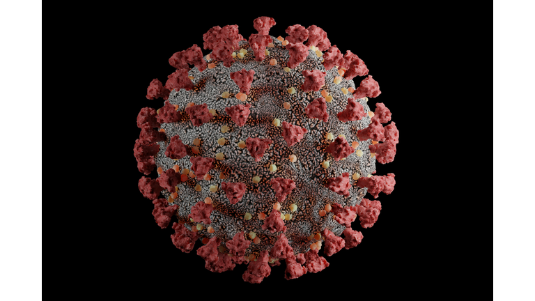 Detailed and scientifically accurate 3D model of the SARS-CoV-2 virus at atomic resolution
