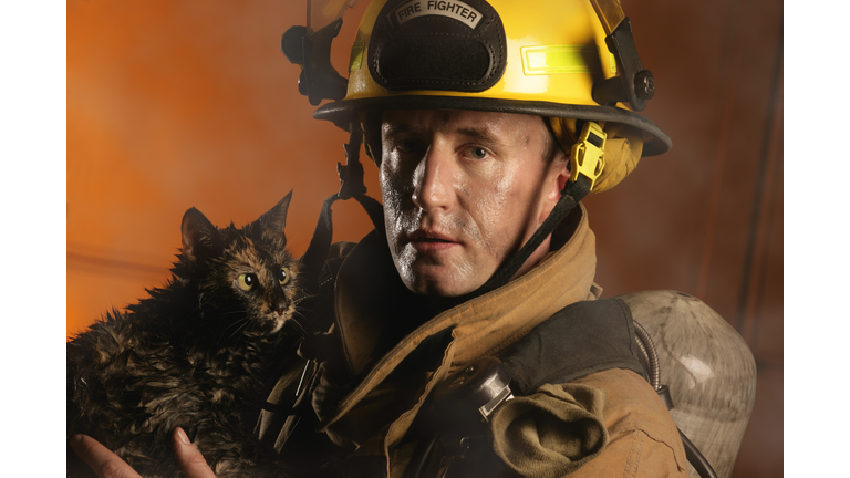 Firefighter and a cat