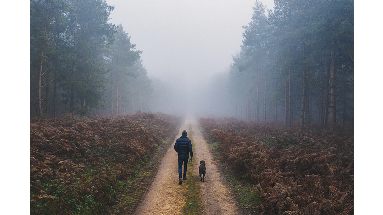 Man walking his dog in misty forest