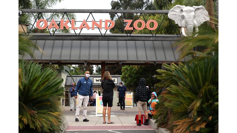 Oakland Zoo Opens To Public Despite California's Rising Coronavirus Infections