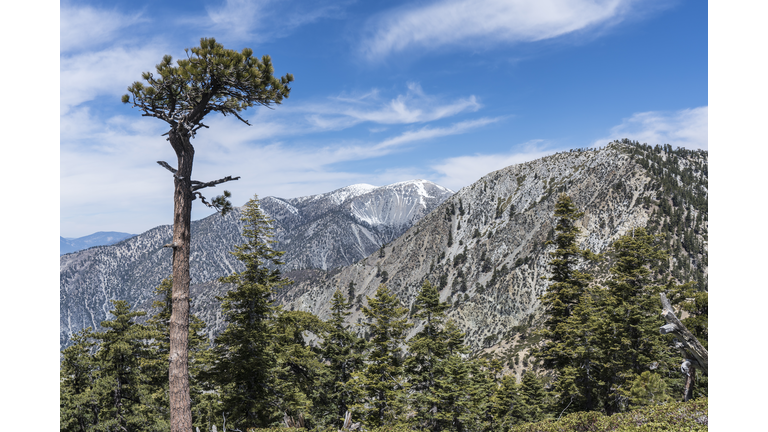View of Mt Baldy Summit in Los Angeles County California